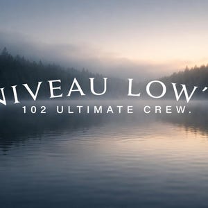 Adesivi Niveaulows per il lunotto anteriore o posteriore, vari colori