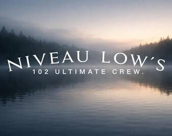 Niveaulows stickers for the front or rear window, various colors