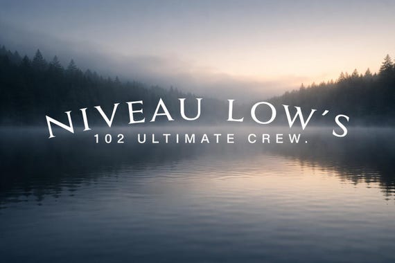 Niveaulows stickers for the front or rear window, various colors