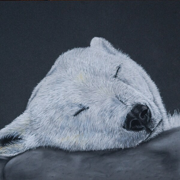 POLAR BEAR Pastell - Fineart Print