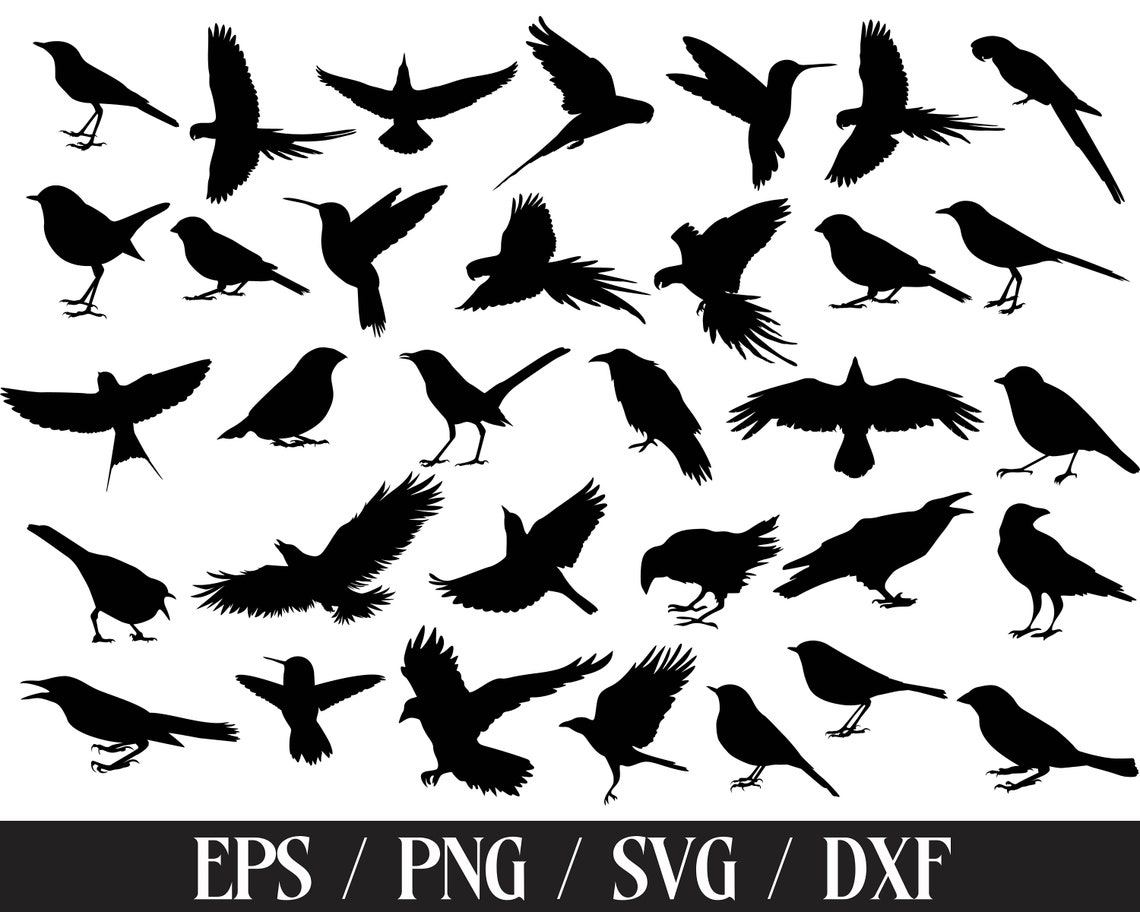 Bird Svg Bundle Birds Svg Flying Bird Svgbirds Clipart. - Etsy