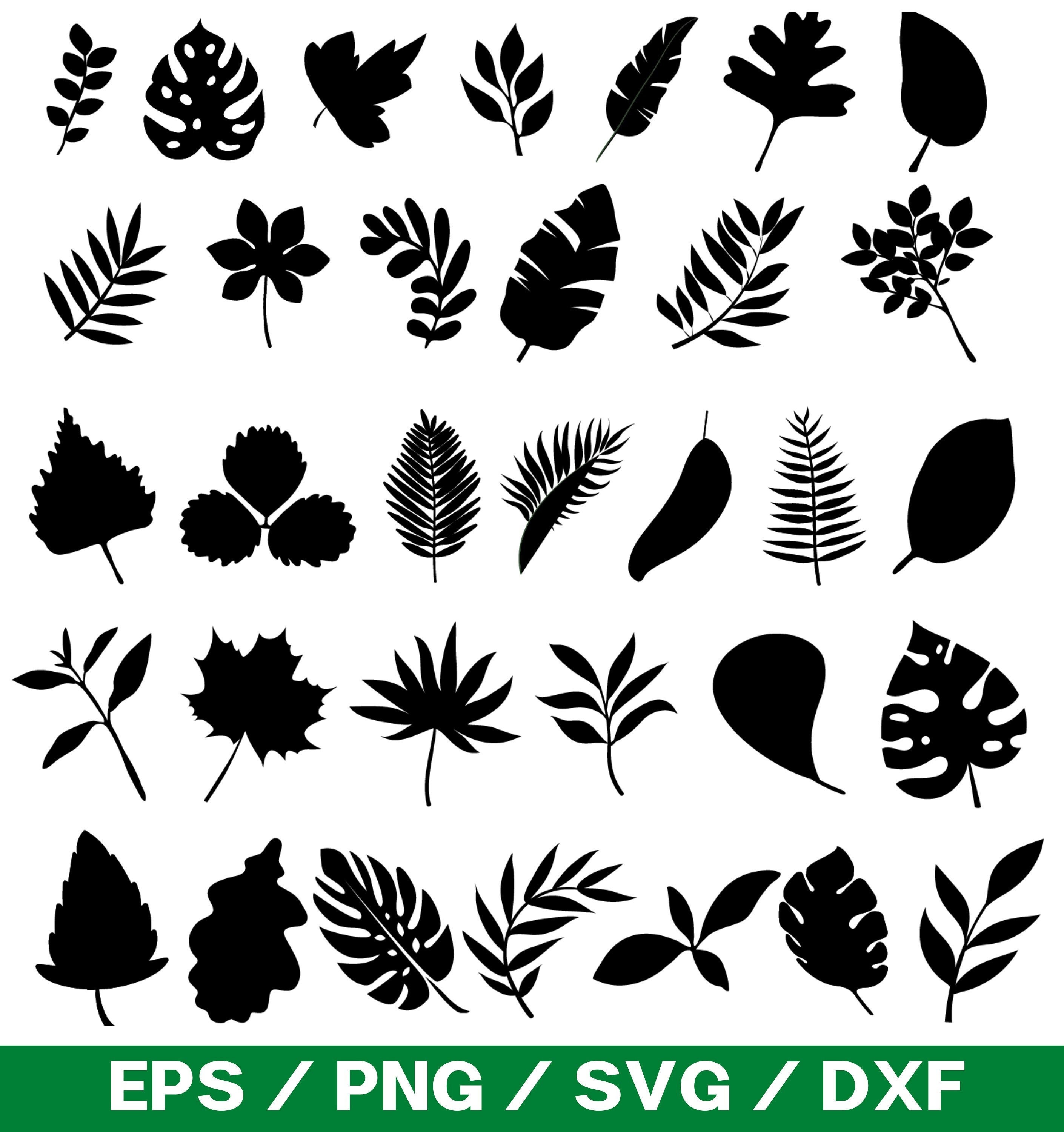 LEAF SVG Bundle LEAVES Svg Bundle Leaf Clipart Leaf Svg Cut - Etsy