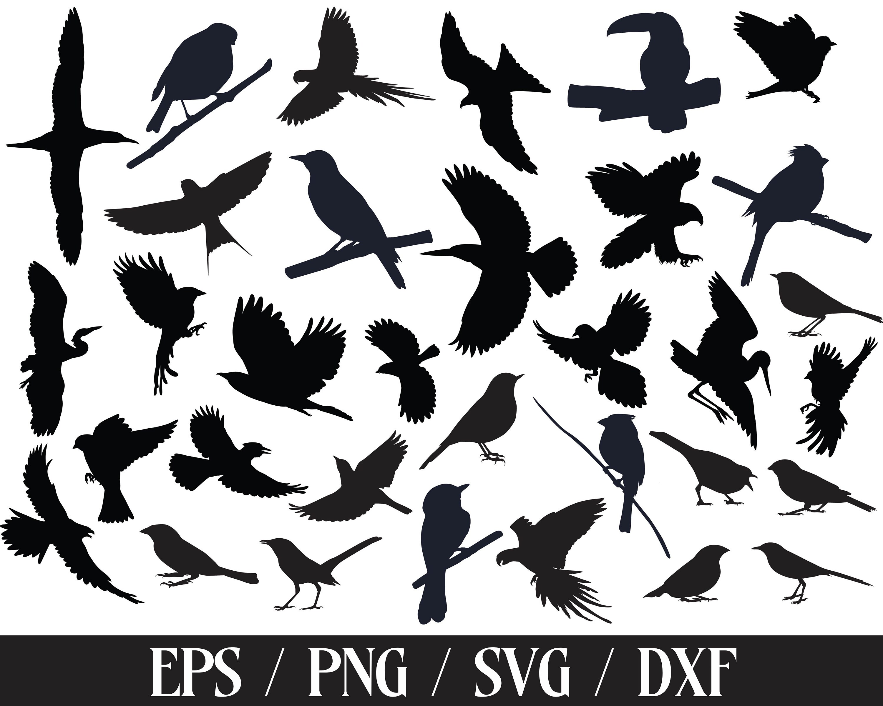 Bird Svg Bundle Birds Svg Flying Bird Svgbirds Clipart Etsy Images