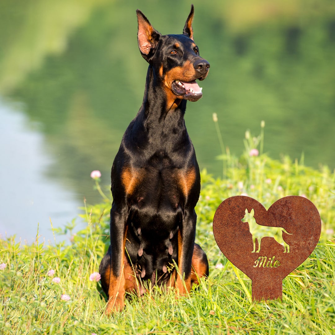 Custom German Pinschers Dog Rusty Metal Stake, Dog Loss, Dog Lover Gift