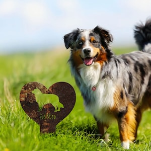 May include: A blue merle Australian Shepherd dog stands in a grassy field, looking at the camera.  A rusty metal heart-shaped sign with a silhouette of a dog and the name "Mio" is in the foreground.