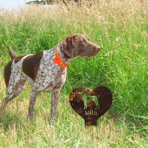 May include: A brown and white German Shorthaired Pointer dog stands in a field of tall grass. The dog is wearing an orange collar. A metal heart-shaped sign with a silhouette of a dog and the name "Milo" is in the grass.