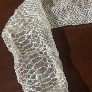 May include: A translucent, shed snake skin featuring a distinct, repeating hexagonal scale pattern. The material is thin, lightweight, and flexible, displaying a natural off-white to clear coloration with a delicate, papery texture throughout.
