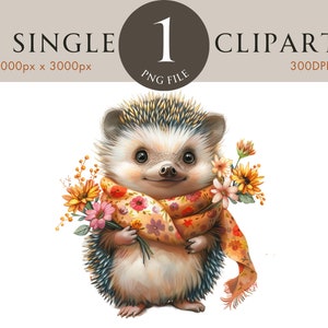 Clipart hérisson, mignon chambre d'enfant printemps PNG, Illustration d'été des cliparts fleur aquarelle, Clipart Floral d'été pour scrapbooking carte inviter