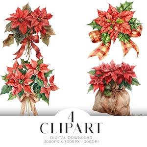 Set di 4 clipart PNG con acquerello di stelle di Natale, bouquet di fiocchi, biglietti d&#39;invito, album di ritagli, diario digitale, download istantaneo, uso commerciale