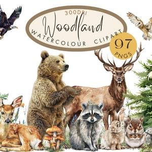 Clipart Noël des bois, aquarelle hiver PNG, animaux de la forêt de Noël, clipart festif de chambre d'enfant, chevreuil chouette renard rouge-gorge hérisson sapin arbres houx
