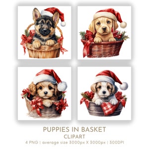 Chiots de Noël aquarelle Clipart PNG ensemble 4, Clipart Noël Noël pour un usage commercial, créations en papier Téléchargement instantané numérique