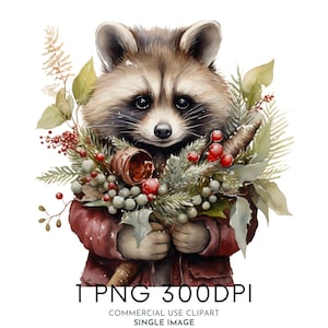 Clipart aquarelle de Noël festif de raton laveur PNG, des cliparts animaux de la forêt, des cliparts pour usage Commercial de Noël, Templett, Corjl & Canva Friendly