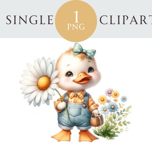 Clipart de patinho de primavera, ilustração de pato de Páscoa PNG, dia das mães, ideal para cartões de felicitações, artesanato, convites, projetos de papel