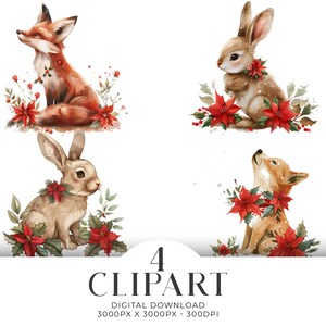 Noël renard lapin aquarelle Clipart PNG lot de 4 poinsettia houx carte Scrapbooking Junk Journal Téléchargement instantané numérique usage commercial