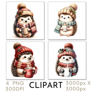 Illustration de hérisson de Noël Clipart PNG aquarelle ensemble de 4 Noël Noël usage commercial, créations en papier Téléchargement instantané numérique