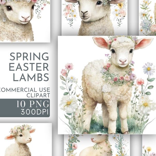 Easter Lambs with Flowers Clipart PNG, Scrapbooking, Card Making , Nursery Spring Lamb Bundle Commercial , Transparent PNGS Instant Download