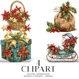 Set di 4 clipart PNG con acquerello di stelle di Natale, bouquet di fiocchi, biglietti d&#39;invito, album di ritagli, diario digitale, download istantaneo, uso commerciale
