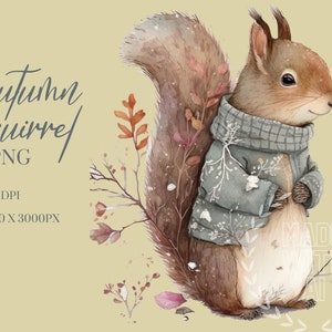 Squirrel Watercolor Clipart PNG, Autumn Winter, Forest Animals Nursery Clipart Commercial Use Clipart, Templett, Corjl & Canva Friendly