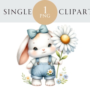 Clipart de coelho de primavera, ilustração PNG de coelho de Páscoa, dia das mães, ideal para cartões de felicitações, artesanato, convites, projetos de papel