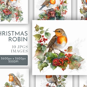 Weihnachten Robin Aquarell Clipart JPG, festliches Junk Journaling, Holly Berries Aquarell Wand Kunst Kommerzielle Nutzung Digital Sofortiger Download