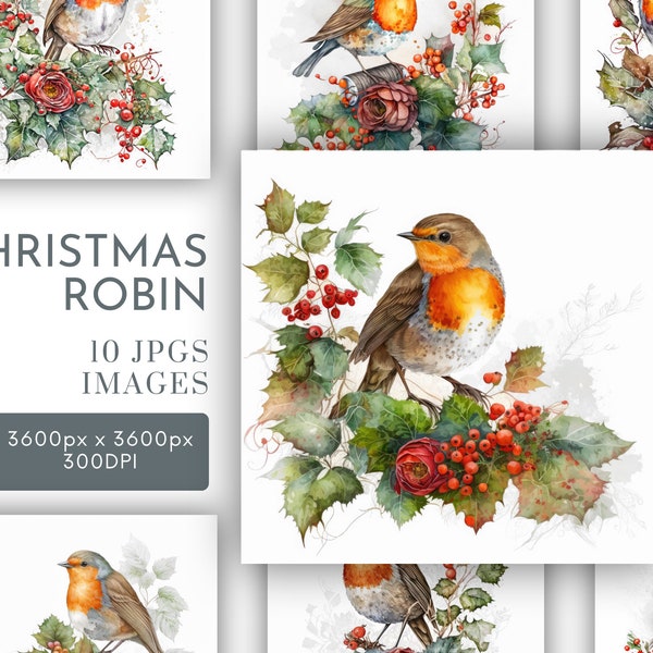 Navidad Robin acuarela Clipart JPG, diario basura festivo, Holly Berries acuarela pared arte uso comercial descarga instantánea digital