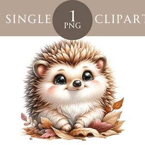 Ouriço Clipart, Arte de parede de animal fofo da floresta PNG, Gráficos de ouriço bebê, Clipart de outono, Decoração de berçário - Uso comercial PNG