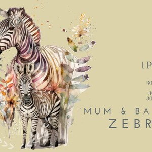 Mamá y bebé cebra acuarela clipart PNG, descarga digital de animales de la selva, gráficos PNG del día de la mamá, arte de acuarela de mamá, regalo de mamá y yo