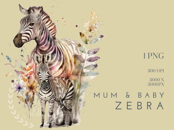 Baby Zebra And Mom Clipart