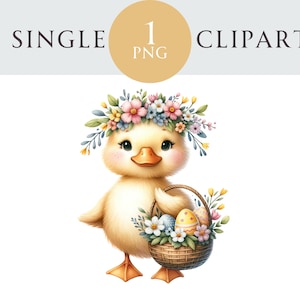 Clipart de pato de Páscoa, ilustração PNG de dia das mães da primavera, ideal para cartões de felicitações, artesanato, berçário, convite, criação de projetos de papel