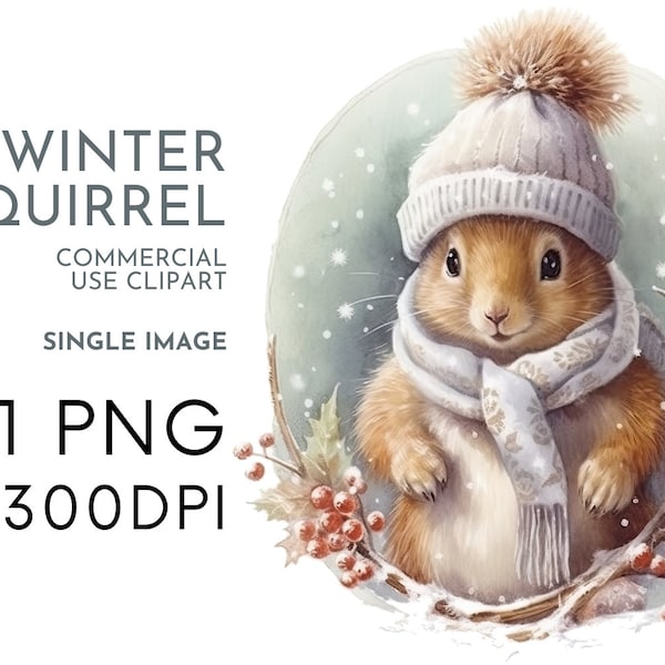 Christmas Squirrel Watercolor Clipart PNG Snowy Festive Animal Clipart, Clipart Commercial Use Clipart, Templett, Corjl & Canva Friendly