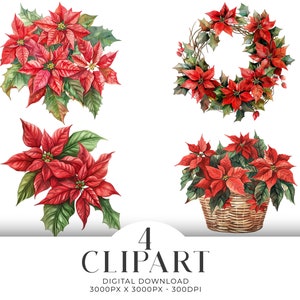 Set di 4 clipart di acquerello di stelle di Natale in formato PNG, ghirlanda di stelle di Natale in formato PNG, download digitale istantaneo per matrimonio invernale, uso commerciale