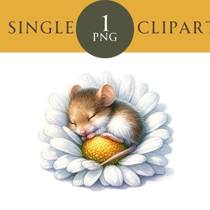 Schläfrige Maus Clipart, Daisy Gerbera Clipart Kinderzimmer Baby Shower Clipart Ostern Clipart Frühling Cute Clipart, Floral Clipart Instant Download