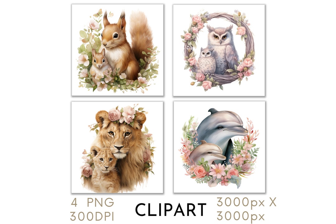 Mother Baby Animals Clipart Watercolor PNG Set 4 Squirrel Owl Dolphin ...