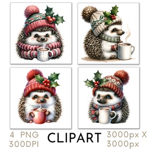 Illustration de hérisson de Noël Clipart PNG aquarelle ensemble de 4 Noël Noël usage commercial, créations en papier Téléchargement instantané numérique