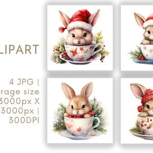 Coniglietto di Natale Acquerello Clipart PNG Set 4, Tazza da tè Clipart di Natale per uso commerciale, artigianato di carta Download istantaneo digitale