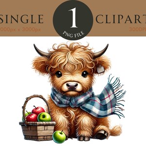 リンゴのバスケットを持つハイランド牛のクリップアート、秋の動物 PNG、かわいい農場の牛のイラスト、秋のクリップアート、300DPI デジタルダウンロード