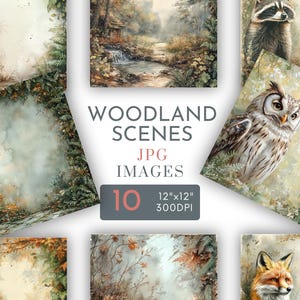 Animaux de la forêt, arrière-plans numériques, chevreuil, hibou, écureuil, papiers carrés, pages de journal floral, automne, cartes de scrapbooking, cadeaux, usage commercial, JPG