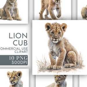 Clipart aquarelle lionceau, clipart mignon pour un usage commercial, PNG transparents, animaux de la jungle, animal du zoo Safari africain, clipart chambre d'enfant