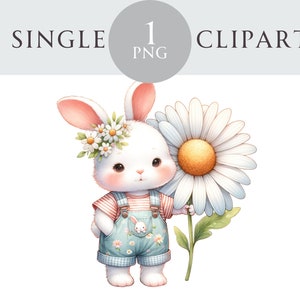 Clipart de coelho de primavera, ilustração PNG de coelho de Páscoa, dia das mães, ideal para cartões de felicitações, artesanato, convites, projetos de papel