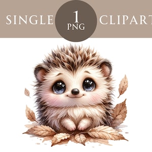 Hérisson mignon Clipart PNG, Illustration d'animaux des bois, Art bébé hérisson, animal de la forêt PNG pour sublimation, autocollants, travaux manuels