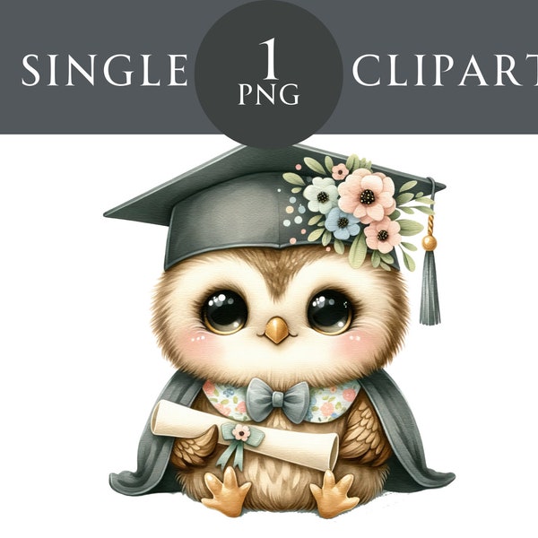 Graduation Owl Clipart, Kindergarten School College Animal Wall Art Graphics Congratulations Clipart Nursery Decor Commercial Use PNG