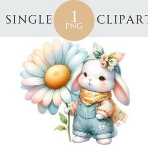Clipart de coelho de primavera, ilustração PNG de coelho de Páscoa, dia das mães, ideal para cartões de felicitações, artesanato, convites, projetos de papel