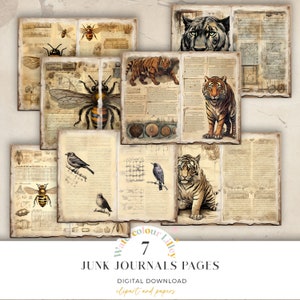 Pagine di diario di animali spazzatura Shabby Chic Art Journal Carta digitale Stampabile Foglio di collage di carta per artigianato sulla fauna selvatica 11 x 8,5 Scarica