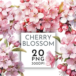 Bundle de cliparts PNG aquarelle fleur de cerisier, clipart fleur floral rose pour un usage commercial, téléchargement numérique instantané