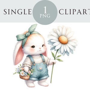 Clipart de coelho de primavera, ilustração PNG de coelho de Páscoa, dia das mães, ideal para cartões de felicitações, artesanato, convites, projetos de papel