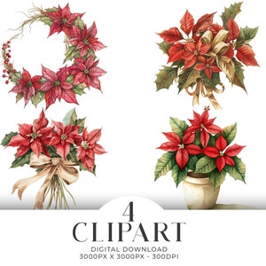 Set di 4 clipart PNG con acquerello di stelle di Natale, bouquet di fiocchi, biglietti d&#39;invito, album di ritagli, diario digitale, download istantaneo, uso commerciale