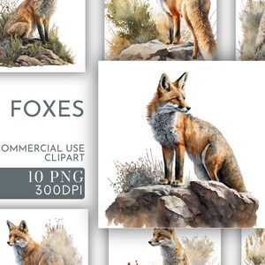 Clipart aquarelle renard, clipart mignon pour un usage commercial, PNG transparents, animaux de la forêt, animal sauvage, clipart chambre d'enfant
