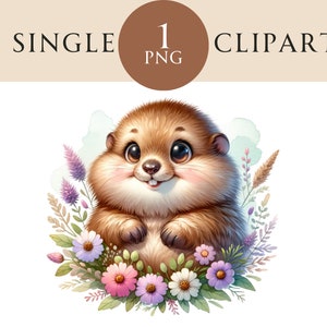 Clipart de marmota, ilustração de animal da floresta PNG, dia da marmota PNG Ideal para cartões de felicitações, artesanato, berçário, convites, projetos de papel