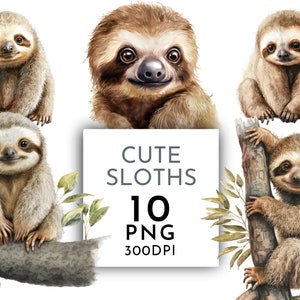 Cute Sloth Clipart PNG, Sloth on Branch, Sloth Watercolor, Junk Journaling Watercolor Clipart Commercial Use Digital Instant Download