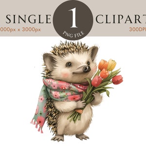 Clipart hérisson, mignon chambre d'enfant printemps PNG, Illustration d'été des cliparts fleur aquarelle, Clipart Floral d'été pour scrapbooking carte inviter